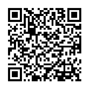 恐怕真正实力比起西海龙王敖闰都不会逊色多少二维码生成