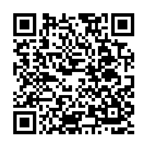 恐怕等既定的行程跑完之后她们apink也就走到头了吧二维码生成