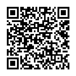 恐怕自己也不会勉为其难的同意他搞这么一个预演二维码生成