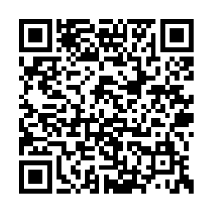 恐怕自己的心腹难以守得住那些疯狂死士的扑杀二维码生成