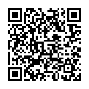 恐怕自己认识的人中只有小狐狸白冰儿才能制住他二维码生成