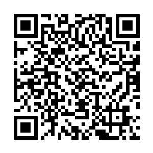 恐怕要取决于这些窥天者原来在化仙者阵营里起到的作用二维码生成