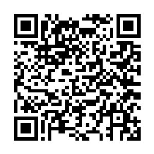 恐怕这修仙界就再不会有什么能够称得上神通的妖植了二维码生成