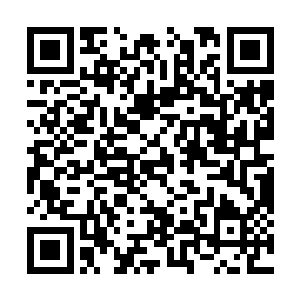 恐怕这块大陆上早已没有其他生物生存的空间了~二维码生成