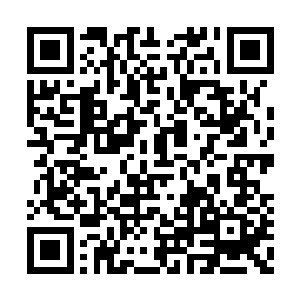 恐怕连过些天的特种兵比武大会都没办法参加了二维码生成