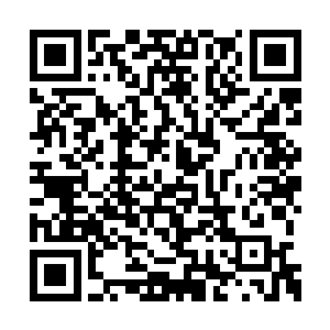 恐怕领悟圣阶战技根本就是一件无比轻松的事情二维码生成