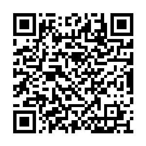 恐怕飞镖项目立刻就会从最赚钱的几个项目之一二维码生成