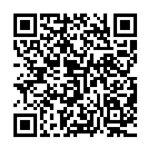 恐怖到在场的这些先天高手竟然无一人可以挡住这股气浪二维码生成