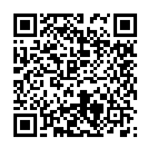 恐怖毁灭一切的力量自大夏王朝的老祖宗身上传播开来二维码生成