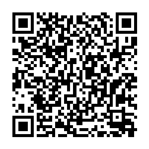 恐慌的向这支数目和实力皆无比庞大的蚩家魔族战魔方阵打量了过去二维码生成