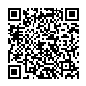 恐是看在我曾帮过严小公子的份上才拉咱们一把的二维码生成