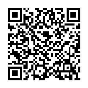 恒阳实验室的司法拍卖流程具体已经到哪一步了二维码生成