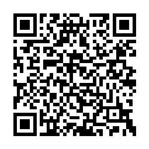 恢复了原型的杨婵迫不及待地从隧道中冲了出来二维码生成