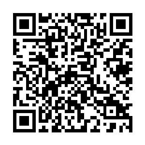 恢复了神智或者说穿越到新月大陆之后的所有经历二维码生成