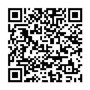 恨不得将天上的月亮星子都摘下来给他们兄妹才好二维码生成