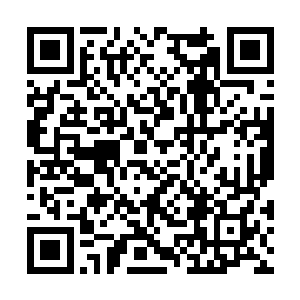 恨不得将手里的酒杯一下砸到杜薇的脑袋上才解恨二维码生成