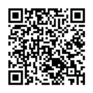 恨不得将这两个提出这个方案的始作俑者活活弄死二维码生成