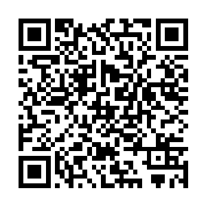 恨不得将那株正迎风微微颤动的魏紫给毁尸灭迹了二维码生成