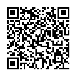 恨不得当场就把穆天泽杀掉――我要不是穿着乌金蝉衣二维码生成