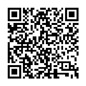 恨不得把自己的眼珠子扣下来扔到这边瞧个清楚二维码生成