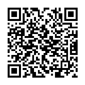 恨不得活活将这专门策反她灵宠的小奶狗活活掐死二维码生成