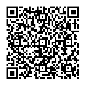 恨不得直接出手……但我们真能对那些小虾米下手……若是一开始就是雷霆万钧的战斗二维码生成