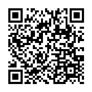 恨不得离那两条正在变化着体型的怪蛇越远越好二维码生成