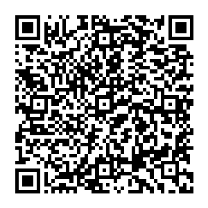 恨不得让秦洛和闻人牧月这对狗男女当场把男女之间能够干的事情全干了以此来证明他们确实有关系二维码生成