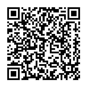 恨不能每天把自己的一亩三分地里里外外犁上无数遍……后来的后来二维码生成