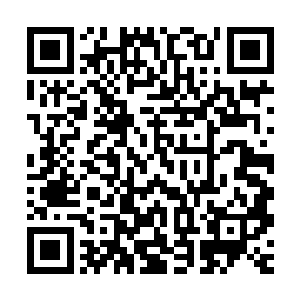 恨天关后面出战的几名威严峰金仙真传弟子的实力还不如恨天关二维码生成