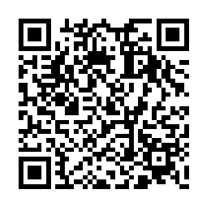 恩人――你让人接我到这儿来――是要做啥子啊二维码生成