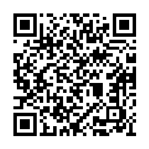 恩斯特虽然把书籍都整整齐齐地做了安排和整理二维码生成