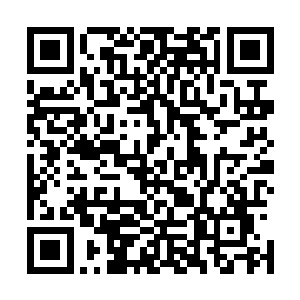 恭喜景都督以价值五百枚七级魂石的珍稀材料买下这柄白剑二维码生成
