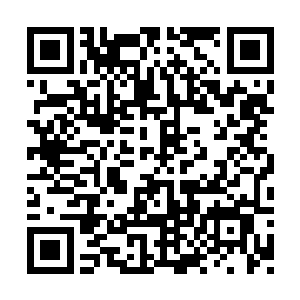 恭喜梓柯成立主神空间第一万零一个事务所……二维码生成