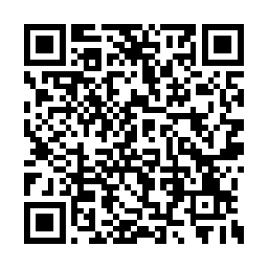 恭敬到谄媚的伸手帮巴克推开玻璃门护送他出来二维码生成