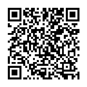 恭敬的站在神父下方看着那花型拱门外的大门等待着新娘二维码生成