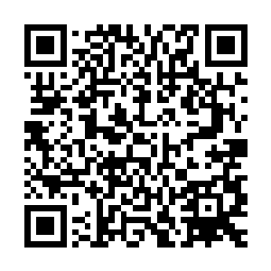 恭贺广州府宝安县李峚义老爷会试恩科高中第三百九十六名……二维码生成