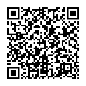 息壤公爵在这个地方撒下了许多的土灵这些土灵会帮助他们做调查二维码生成