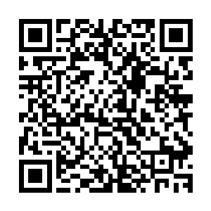 恰好又退进了那个她刚刚离开还没来得及填充的人群裂缝中间二维码生成