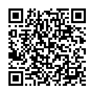 恰好是蕲州阖城文武官员为邓子龙举办的接风酒宴开席的时间二维码生成