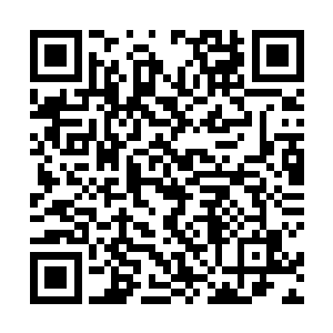 恰好此时唐劫杀了楼伽后便收回天道领域与山河社稷图二维码生成