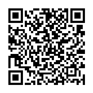 恰好看到那个蝴蝶结男人抡起酒瓶砸向秃子的那一幕二维码生成