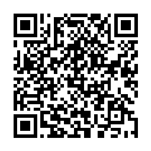 恰好看见狼娃子被另外一个骇胡儿捉着双腿从胯间撕成两半二维码生成