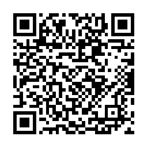 恰好落入了这些部署在周边区域的大军布置下的陷阱之中二维码生成