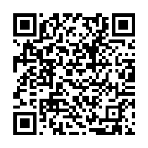 恰巧当年两人也正是腾龙高校四大校花中的前两名二维码生成