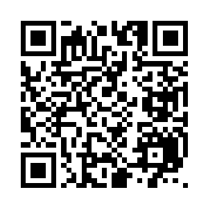 恰恰位于世界与星球之间――有智慧生命二维码生成