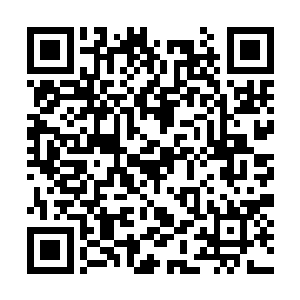 恰恰就是之前被长老一起踢出武道联盟的几个强者二维码生成