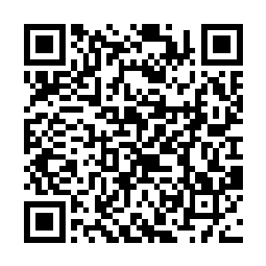 恰恰苏茜怡也是这样的人……所以他们在彼此问对方二维码生成