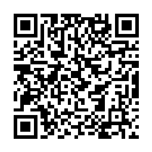 恰时他感应到留在梓箐那里的守护手环出现一次波动二维码生成
