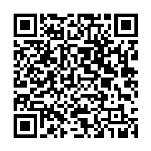 恶劣的环境令所有生物都必须尽力提升自己的实力二维码生成